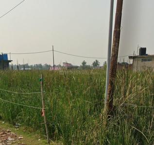 Khanberia Plot View 2
