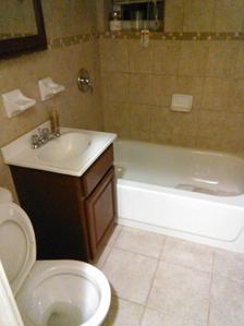 Bathroom Image of 2650 Sq.ft 5 BHK Apartment / Flat for sale in Transcon Triumph, Andheri West Mumbai for Rs. 110000000