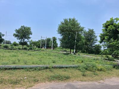 Image of 1250 Sq.ft Residential Plot / Land for sale in Nevta Village, Jaipur for Rs. 2499840