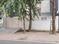B Block Main Image 1