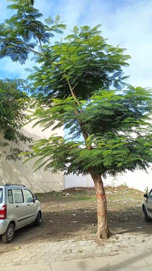 Shri Vinayak township Phase 1 Main Image 1