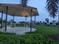 Next Step Sahil Indranchal Homes Plot View 2