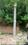 Vinamra Khand, Gomti Nagar Plot View 2