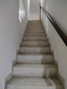Staircase Image of 2200 Sq.ft 4 BHK Apartment / Flat for sale in DDA Flats Vasant Kunj, Vasant Kunj New Delhi for Rs. 53500000