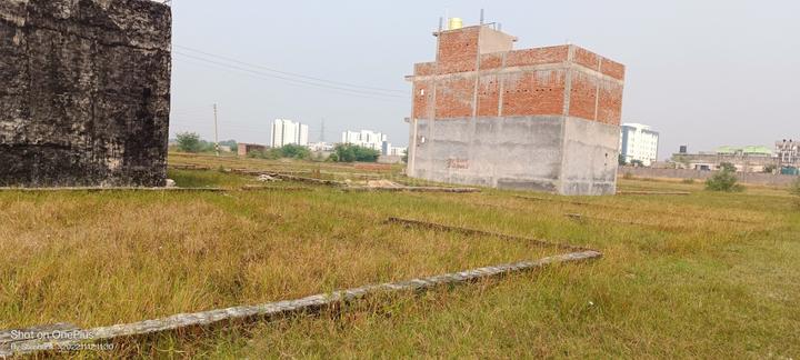 Anora Kala Main Image 1