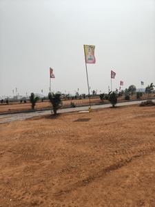 JB Group Plot View 1