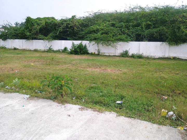 SRM Nagar, Potheri Main Image 1