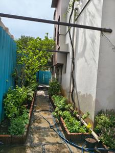 Balcony Image of 1292 Sq.ft 3 BHK Independent House for rent in Sangli Miraj Kupwad Sangli for Rs. 18000