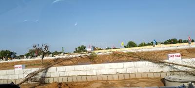 The Orbis sez Plot View 2
