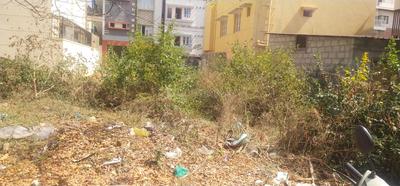 Block 10 Plot View 1