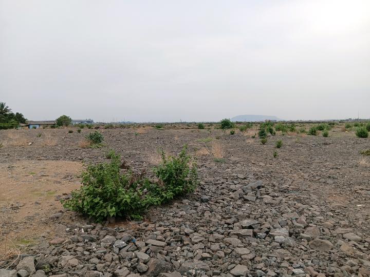 Ranjanpada Main Image 1