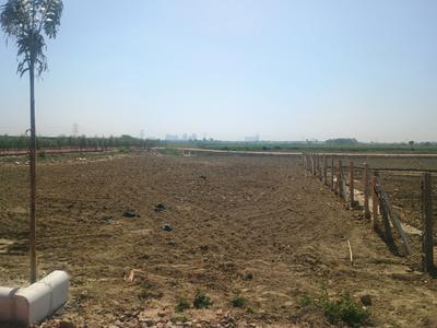 Veda Farm Plot View 1