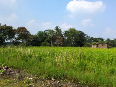 Image of 1440 Sq.ft Residential Plot / Land for sale in Natures Paradise, Joka, Kolkata for Rs. 299999