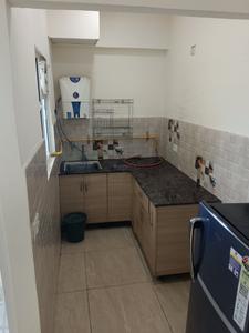 Kitchen Image of 530 Sq.ft 1 BHK Apartment / Flat for rent in Gaurs 14th Avenue, Noida Extension Greater Noida for Rs. 17000