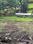 Aldona Plot View 2