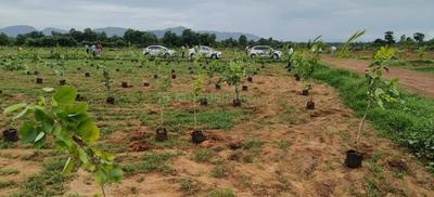 Bhogapuram More Images 2