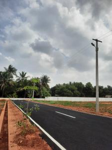 Andal Avenue More Images 3