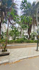 Image of 1590 Sq.ft 3 BHK Apartment / Flat for rent in Airport Road, Bhopal for Rs. 18000