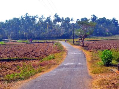 Image of 3400 Sq.ft 5 BHK Independent House for sale in Shoranur, Palakkad for Rs. 19000000