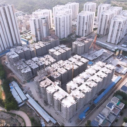 Shanta The Bodhivriksha Main Image 1