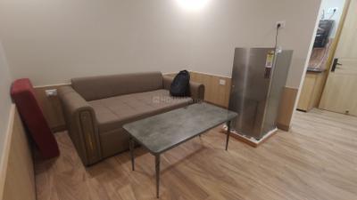 Living Room Image of 1000 Sq.ft 1 BHK Builder Floor for rent in Sector 46 Gurgaon for Rs. 36000