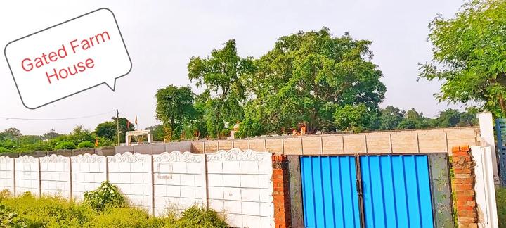 Harhua Ring Road CNG GAIL station road Main Image 1