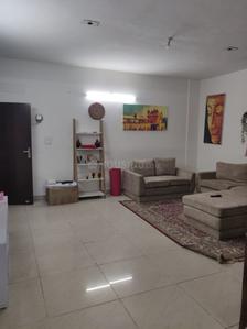 Living Room Image of 1850 Sq.ft 3 BHK Apartment / Flat for rent in Sector 63 Mohali for Rs. 14000