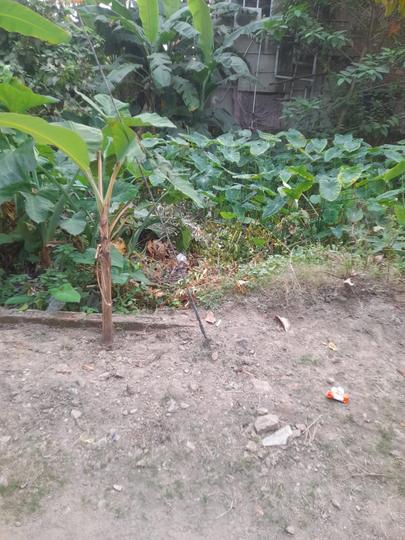 Sree Durga Pally, Paschim Barisha Main Image 1