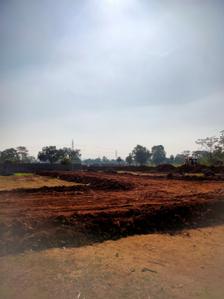 Floor Plan Image of 800 Sq.ft Residential Plot / Land for sale in Barela Jabalpur for Rs. 440000