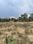 New Palam Vihar Phase 1 Main Image 1