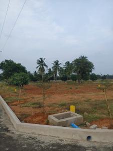 SREE PARADISE Plot View 3