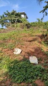 Image of 271 Sq.ft Residential Plot / Land for sale in Kadamba, Goa for Rs. 17600000