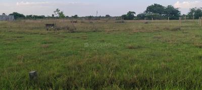 Image of 2400 Sq.ft Residential Plot / Land for sale in Somangalam, Chennai for Rs. 2400000