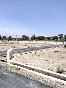 Annur Plot View 2