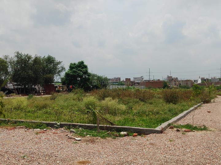 Narayan kunj kakrala sector 112 Main Image 1
