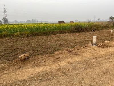 Image of 900 Sq.ft Residential Plot / Land for sale in Shivala Par, Patna for Rs. 1900000