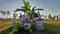 Kusum Kanak Greens Part I Plot View 2