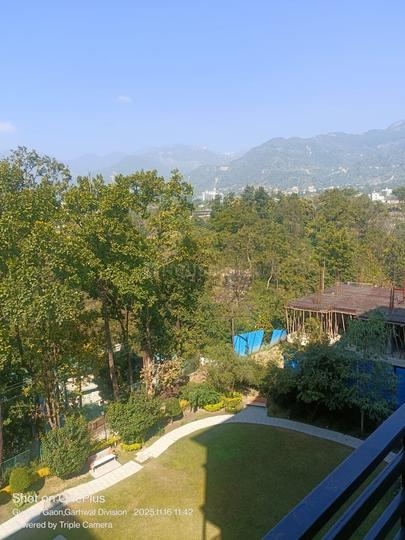 Sinaula, Malsi Main Image 1