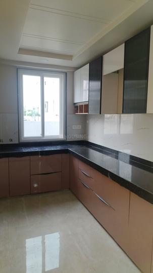 RR PAllACIA Main Image 1