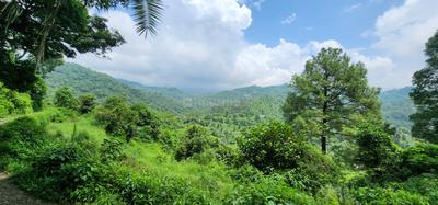 Image of 1000 Sq.ft Residential Plot / Land for sale in Morni, Panchkula for Rs. 4800000