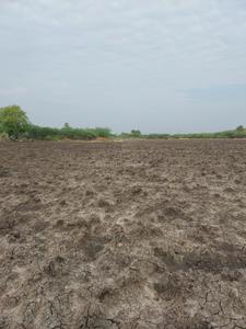 Image of 80937 Sq.ft Residential Plot / Land for sale in Kovilpatti, Thoothukudi for Rs. 22000000