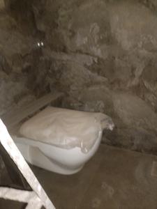 Common Bathroom Image of 1710 Sq.ft 3 BHK Apartment / Flat for sale in Paradise Sai Crystals, Kharghar Navi Mumbai for Rs. 20000000