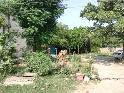 Sector 9 Plot View 1