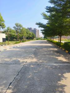 Image of 1350 Sq.ft Residential Plot / Land for sale in Orris Woodview Residencies, Sector 89, Gurgaon for Rs. 25400004