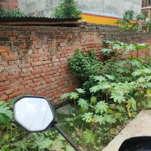 Image of 1250 Sq.ft Residential Plot / Land for sale in NG Kohinoor Pearl, Matiyari, Lucknow for Rs. 4750000