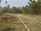 KALYANI WEST BENGAL Main Image 1