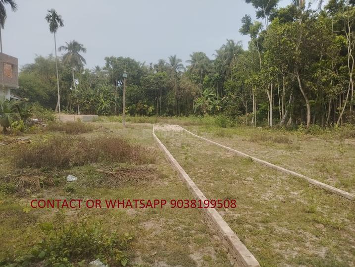 KALYANI WEST BENGAL Main Image 1
