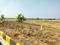 Premium plots for sale with High returns Plot View 2
