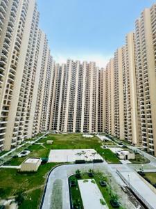 Image of 1450 Sq.ft 3 BHK Apartment / Flat for sale in Amrapali Verona Heights, Noida Extension, Greater Noida for Rs. 11500000