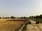 Rohta Plot View 2